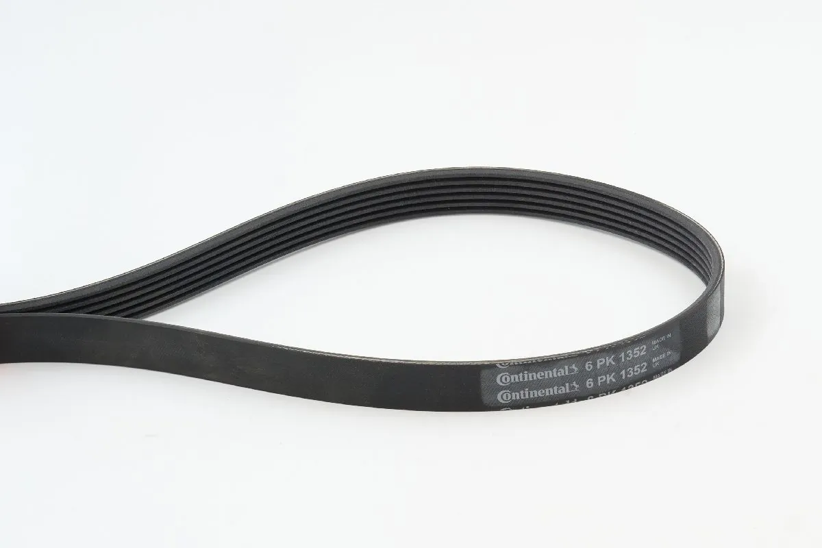 V-ribbed Belt